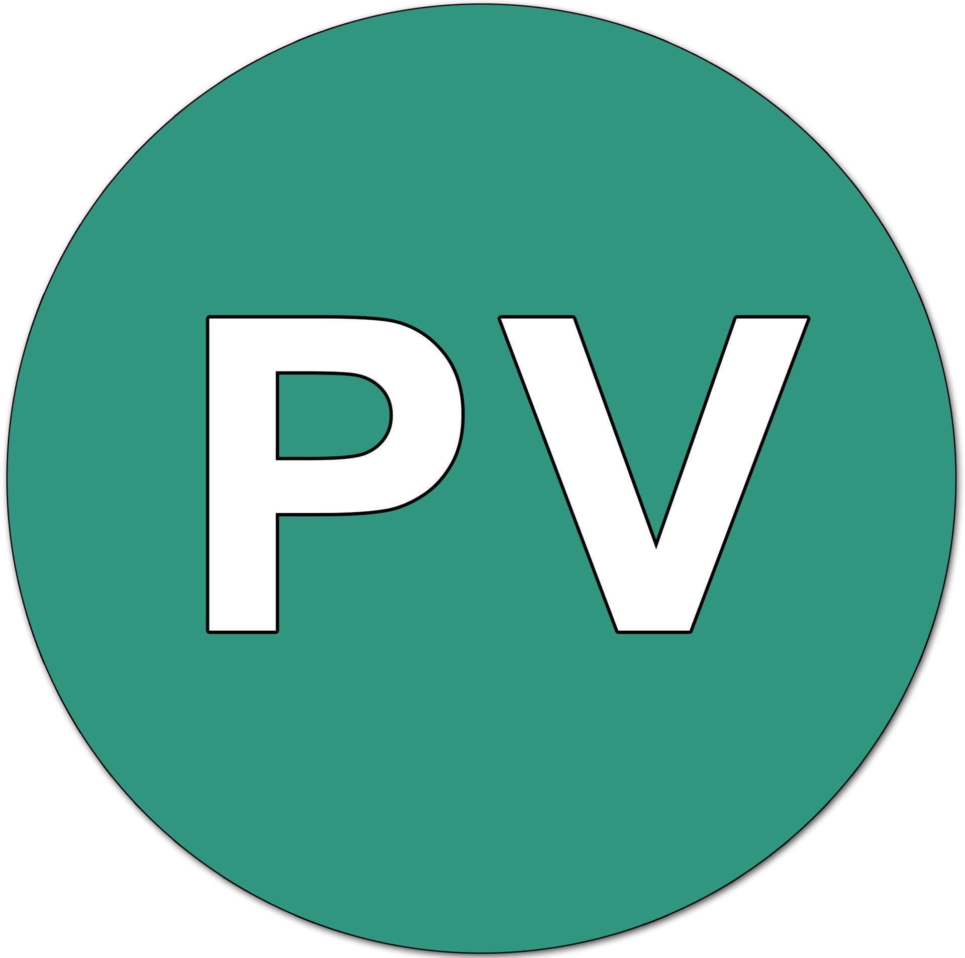 What Does Pv Sign On Car Mean