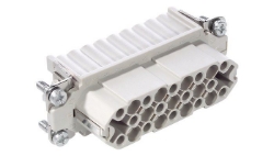 Show details for H-D 25 stamped (Female)