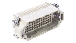 Show details for H-DD 72 (Male)