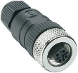 Picture of Connector (M12)