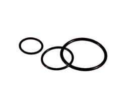 Show details for O-Ring M40