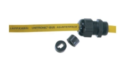 Show details for M20 Insert ASI