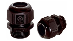 Show details for ATEX Gland M25