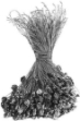 Picture of Wire Lead Seals 10mm