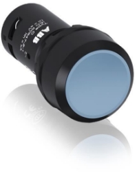 Show details for Pushbutton Blue