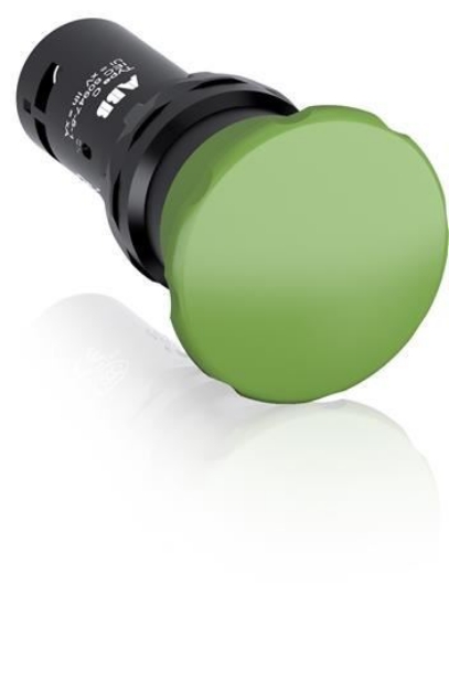 Picture of Mushroom Button Green