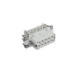 Picture of H-A 10+E (Female) WP