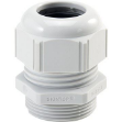 Picture of Gland M32 Reduced 