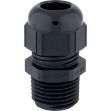 Picture of Gland M12 XL