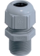 Picture of Gland M25 XL - Reduced
