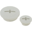 Picture of Blank Plug M12 Light Grey