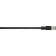 Picture of Sensor Lead (M12) 0.6m
