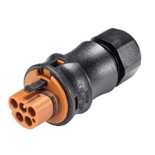 Show details for Male Connector - 5 Pole