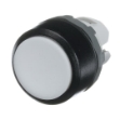 Picture of Pushbutton White