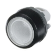 Picture of Illuminated Pushbutton White