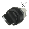 Picture of 2 Position Switch