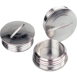 Show details for Brass Blank Plug PG29