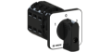 Picture of Changeover Cam Switch 22.5 / 30mm 2P 25A