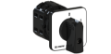 Picture of On-Off Spring Cam Switch 22.5 / 30mm 1P 25A