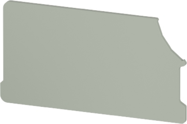 Picture of End Plate - 4mm - WTN FSI - Grey